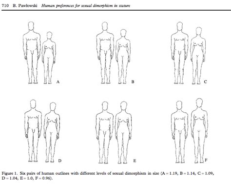 Optimal Height Differences in Perfect Couples: What’s。